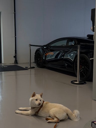 Photo from customer review